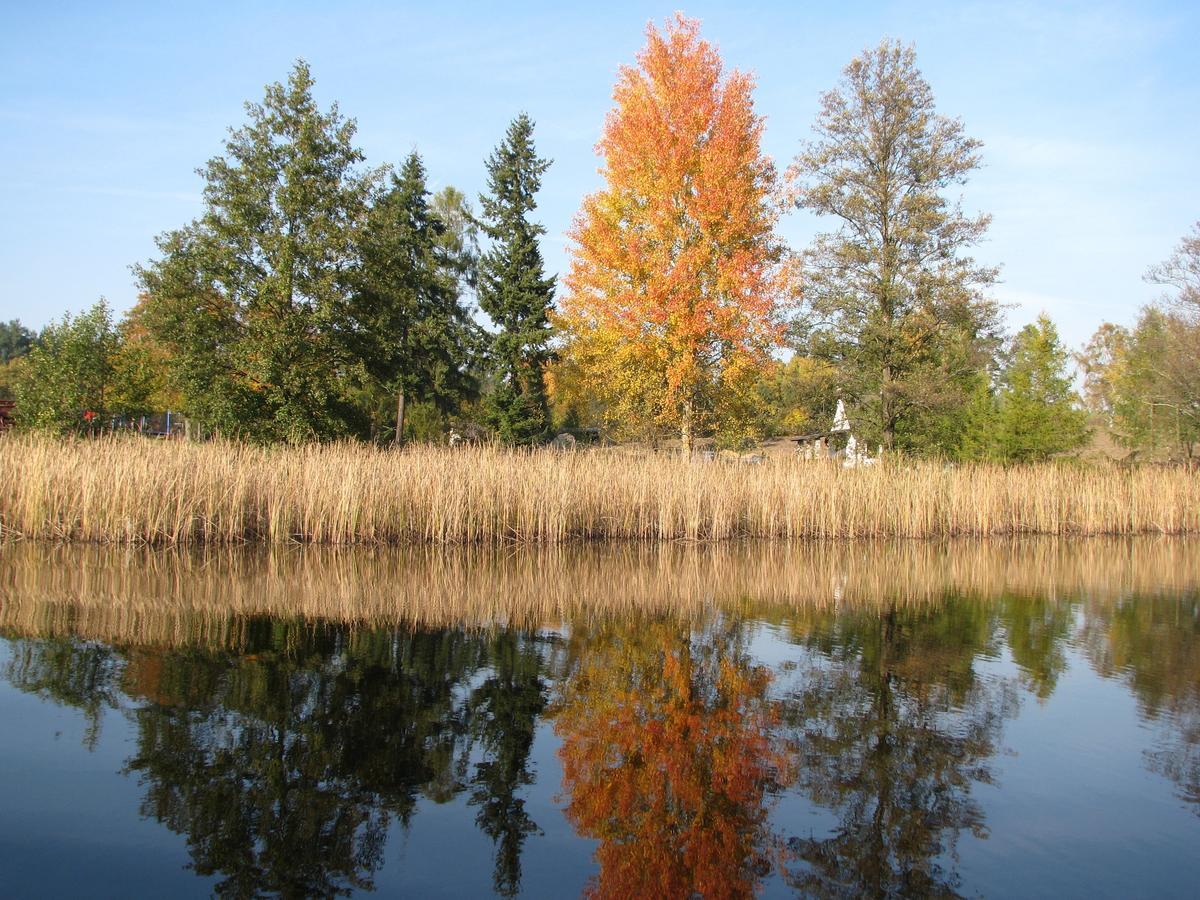 Rezydencja Nad Jeziorem Pestkownica 外观 照片