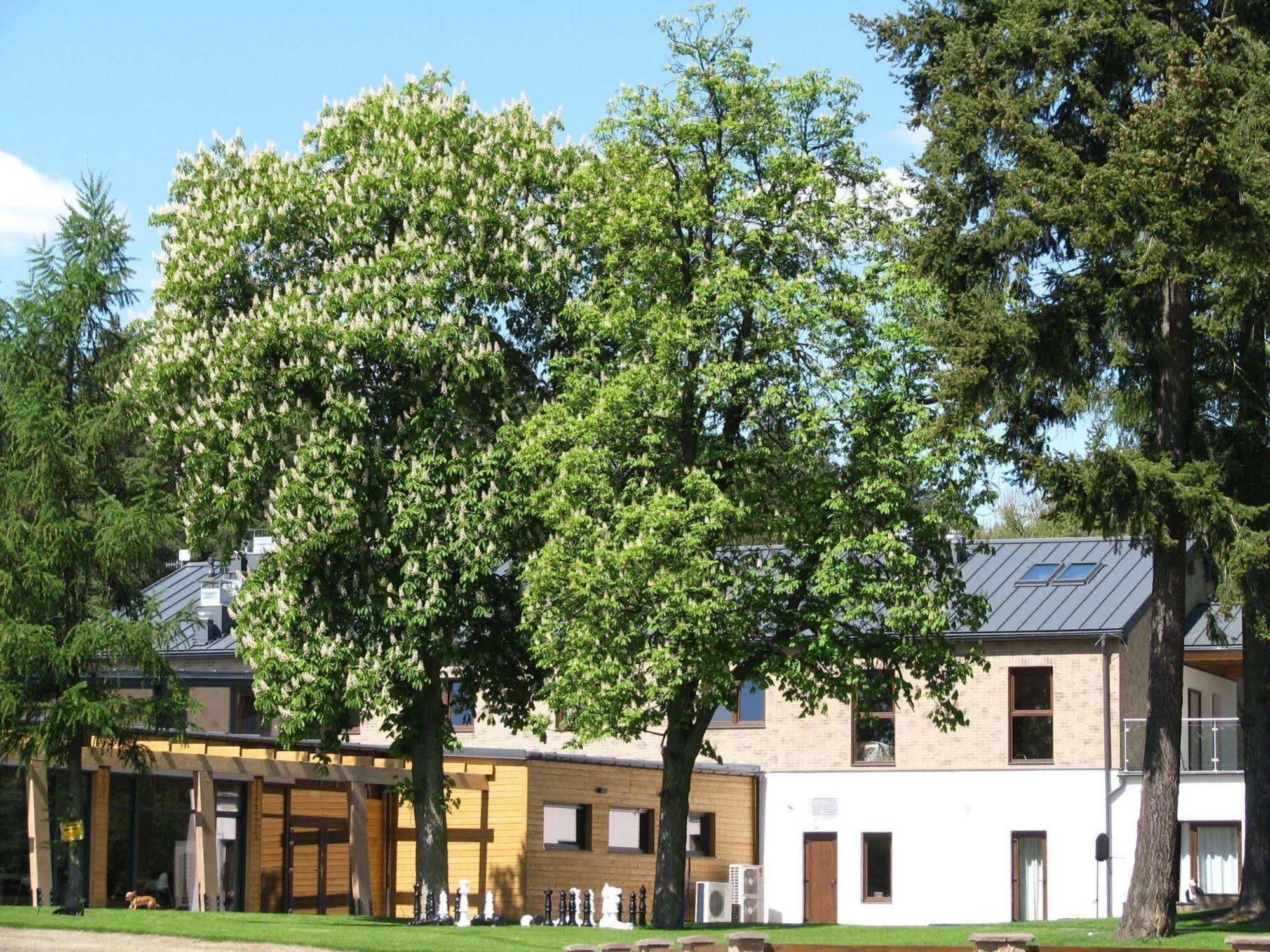 Rezydencja Nad Jeziorem Pestkownica 外观 照片